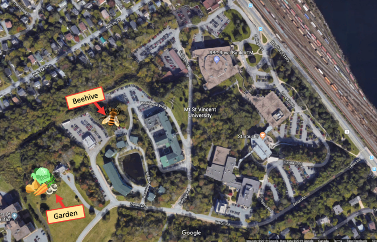 MSVU Garden and Beehive Location